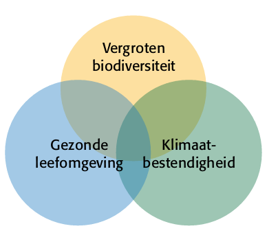 Afbeelding 1: Vergroening draagt bij aan een gezonde, klimaatadaptieve en biodiverse leefomgeving