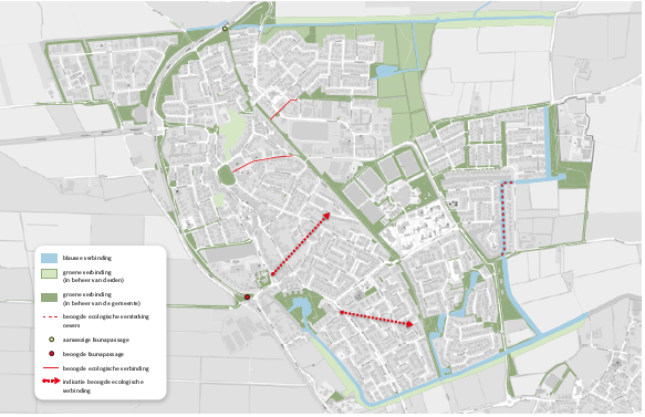 Afbeelding 17: Leeuwarder ecologische structuur Stiens. Groenblauwe kralen, verbindingen tussen de kralen en knelpunten in die verbindingen, binnen de bebouwde kom van Stiens.
