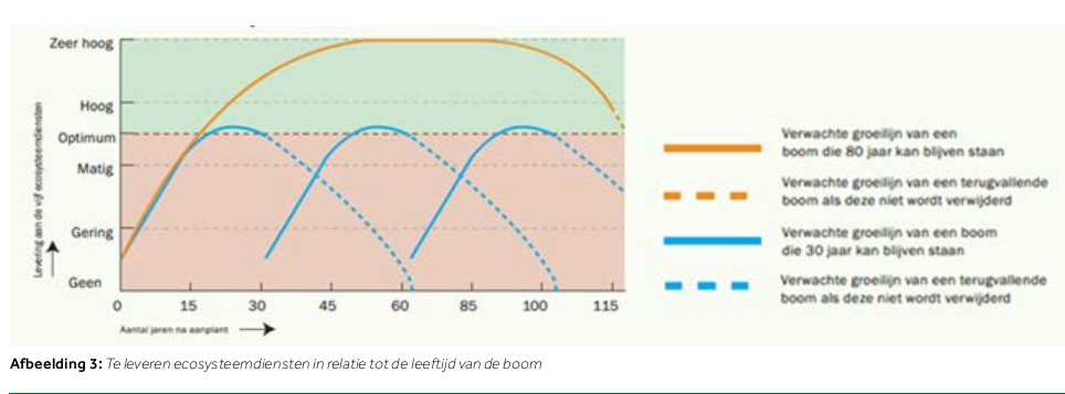 Afbeelding 3: Te leveren ecosysteemdiensten in relatie tot de leeftijd van de boom
