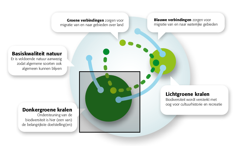 Figuur 3-2: Visualisatie hoe de groenblauwe structuren / LES werken. 