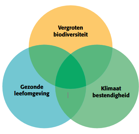 Het Uitvoeringsprogramma Vergroening draagt bij aan meer biodiversiteit, een klimaatbestendige 
leefomgeving en een gezondere omgeving voor mens en dier.