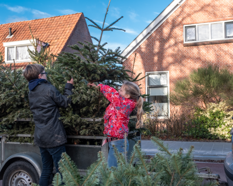 kinderen laden kerstbomen in op een aanhanger van een auto